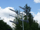 Łoś 2024